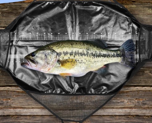 Photographed Fishing Unhooking – Fishing Bag Waterproof recenzja i cena